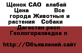 Щенок САО (алабай) › Цена ­ 10 000 - Все города Животные и растения » Собаки   . Дагестан респ.,Геологоразведка п.